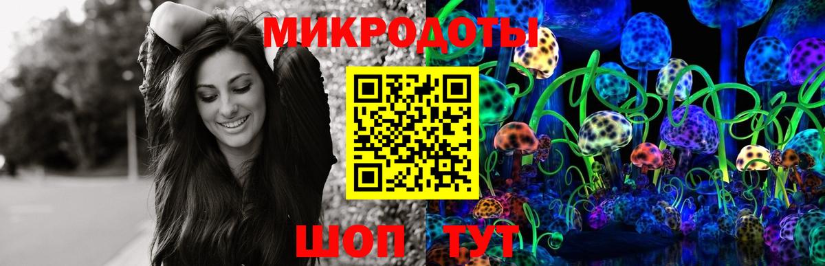 Павловский Посад  Галлюциногенные грибы GOLDEN TEACHER  Вход с VPN  Псилоцибиновые грибы прущие грибы 